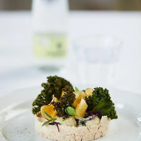 Stevns Klint Strandpension