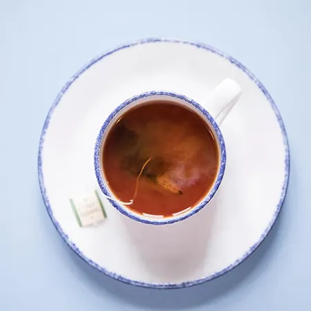 Gasthof Stevns Klint Strandpension 3*