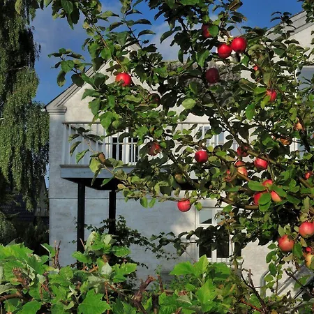 Gasthof Stevns Klint Strandpension 3*