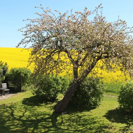 Stevns Klint Strandpension 3* Rødvig