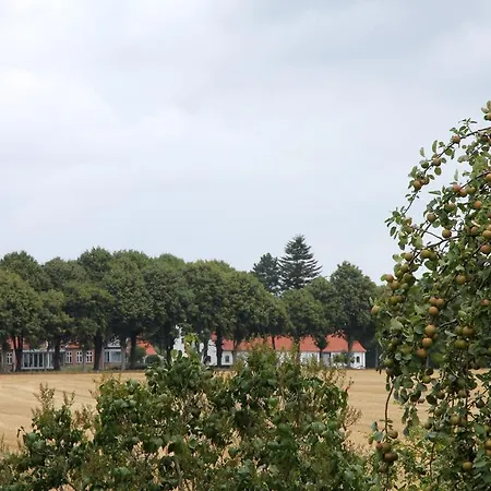 Stevns Klint Strandpension