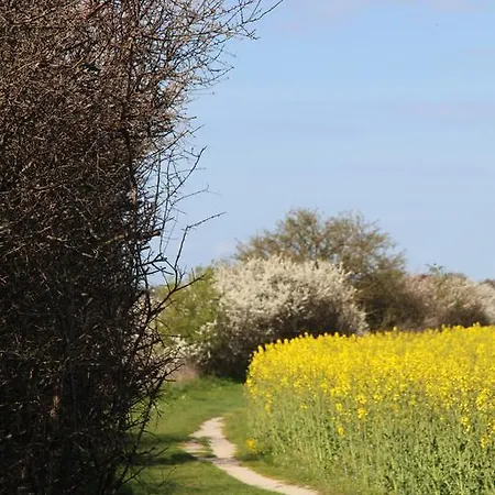 Stevns Klint Strandpension 3* Rødvig