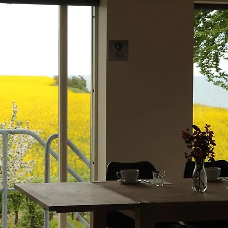 Pensionat Stevns Klint Strandpension 3*