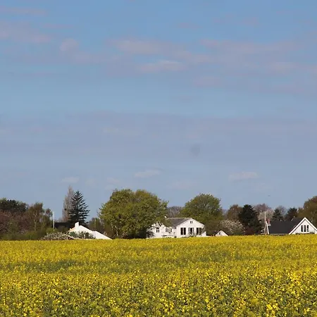 Stevns Klint Strandpension Gasthof