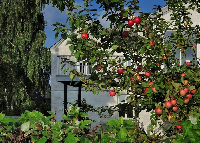 Гостевой дом Stevns Klint Strandpension 3*