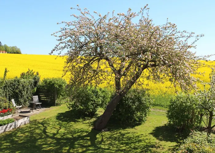Stevns Klint Strandpension 3* Рёдвиг