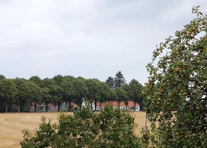 Stevns Klint Strandpension